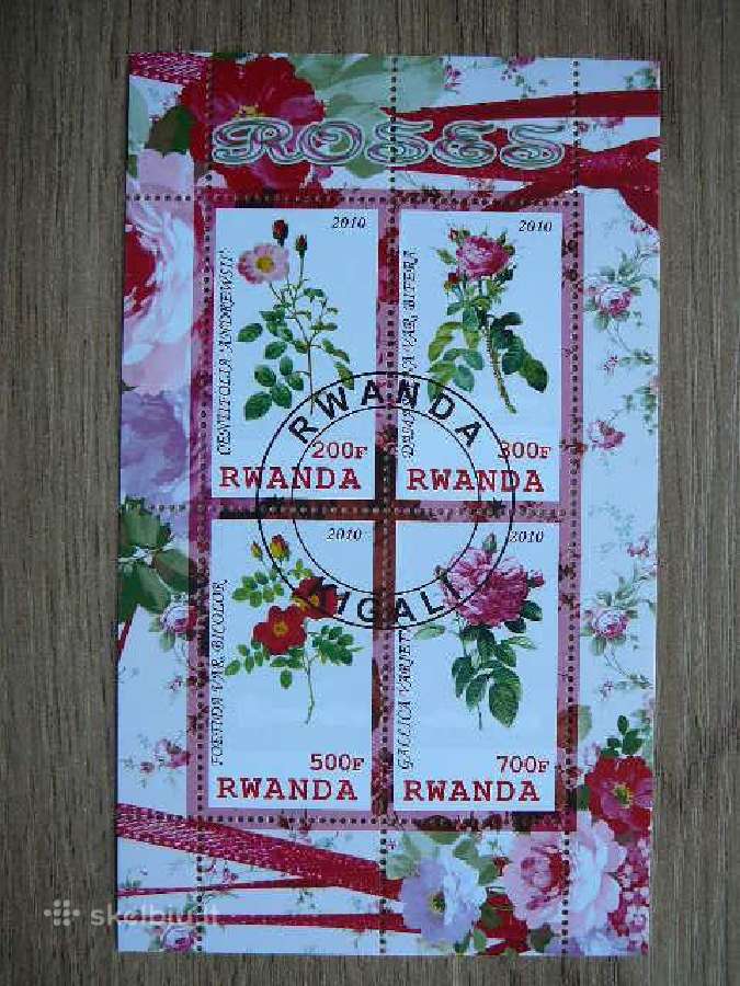 Rozes Geles Ruanda 2010 antsp. s842a