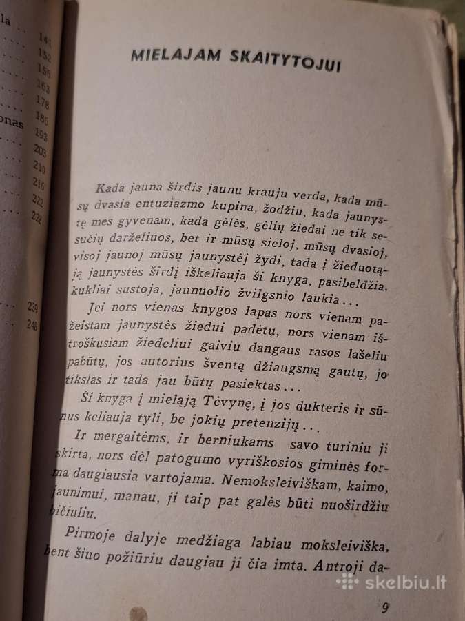 Maršas jaunystei - nuotraukos Nr. 7