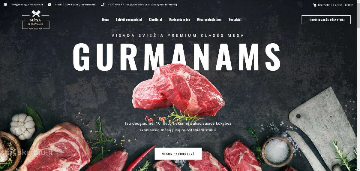 Svetainių kūrimas, El. Parduotuvių, Google reklama - nuotraukos Nr. 2