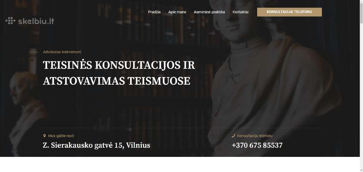 Svetainių kūrimas, El. Parduotuvių, Google reklama - nuotraukos Nr. 25