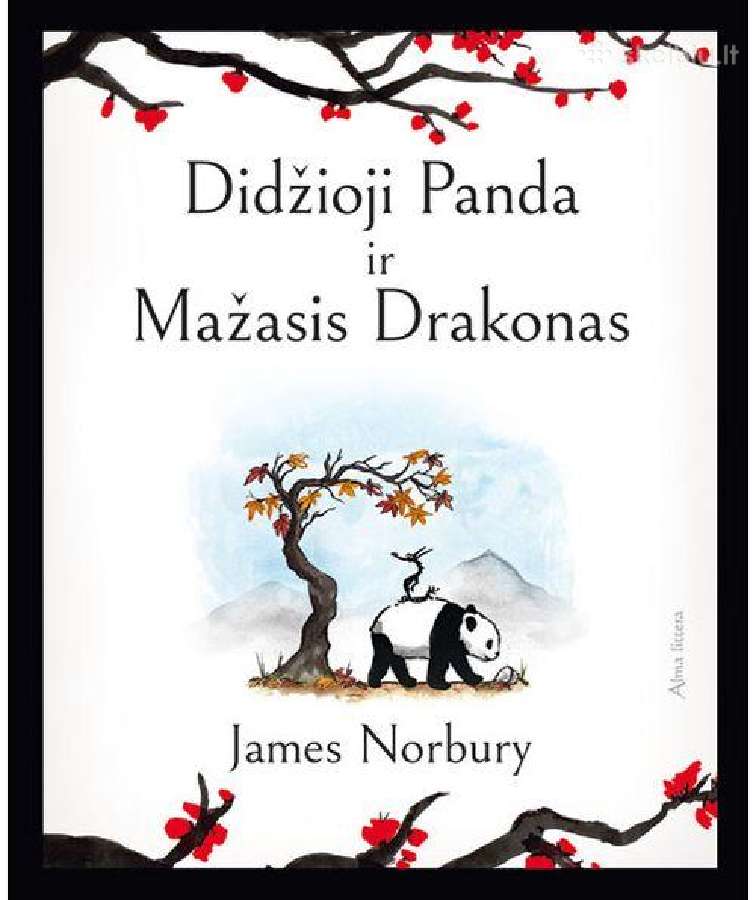 Naujos. Suaugusiems, paaugliams, vaikams - nuotraukos Nr. 10
