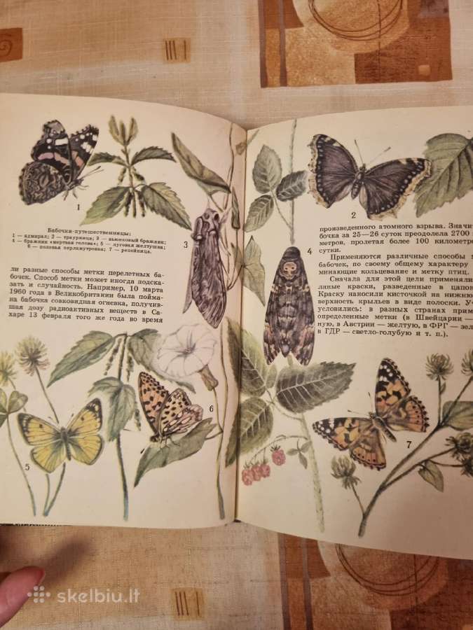 Zoologijos skaitiniai - nuotraukos Nr. 5
