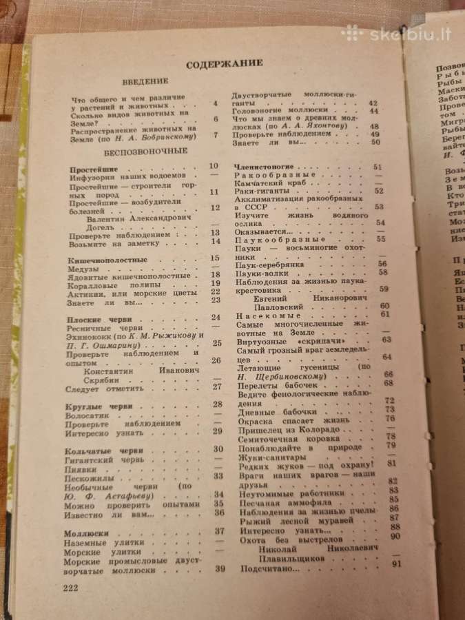 Zoologijos skaitiniai - nuotraukos Nr. 9