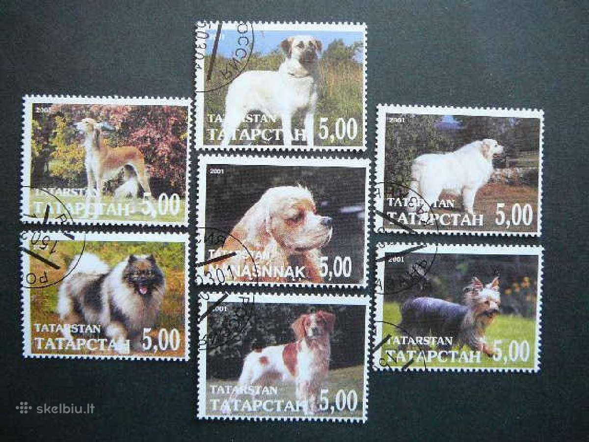 Sunys Tatarstanas (R) 2001 antsp. ttr887