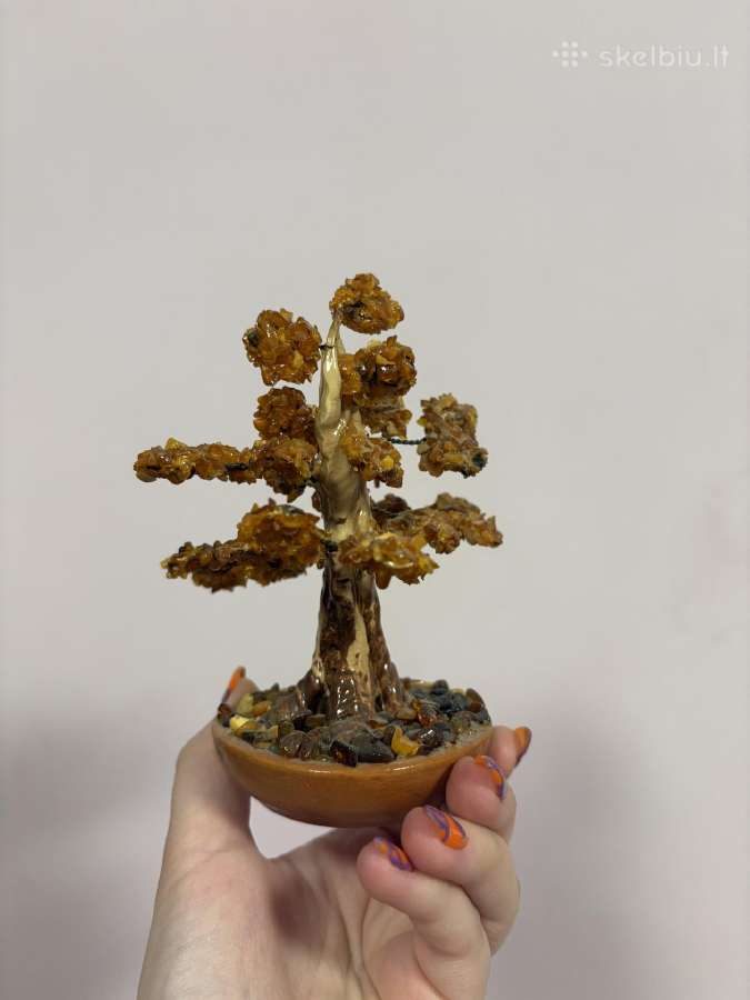 Gintarinis medis - nuotraukos Nr. 2