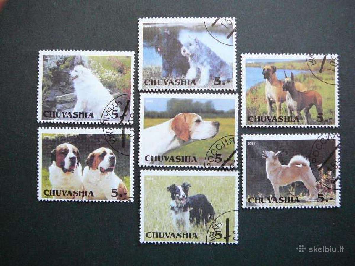 Sunys Ciuvasija (R) 2001 antsp. cv340