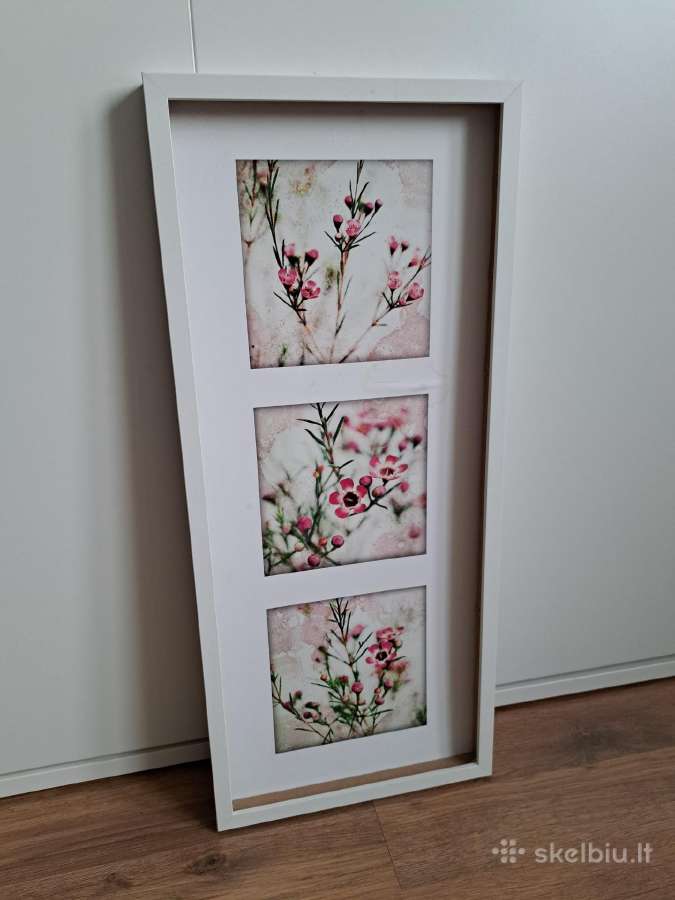 Rėmeliai 71x31x3.5 cm