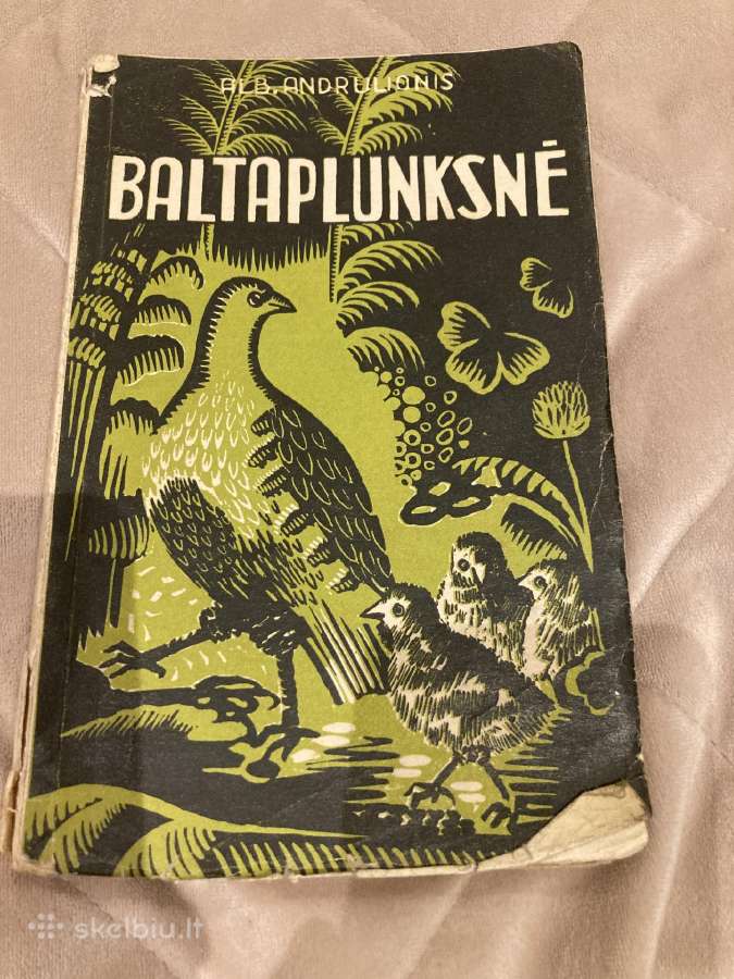 Andriulionis Baltaplunksnė 1937 m.