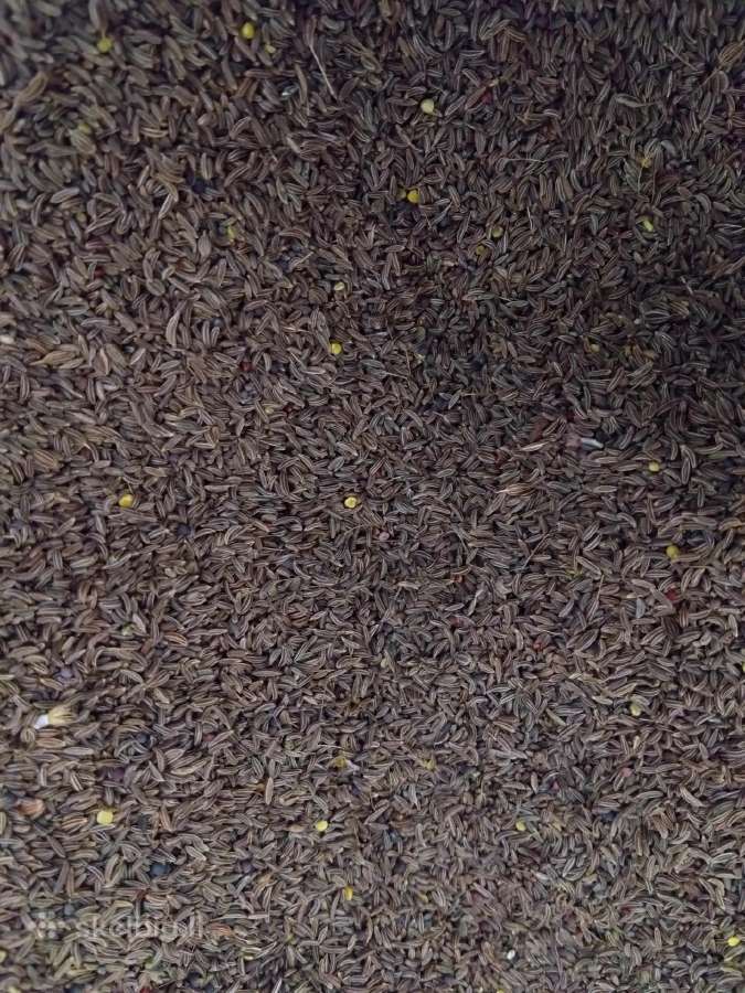 Kmynai 0.95 €/kg - nuotraukos Nr. 2