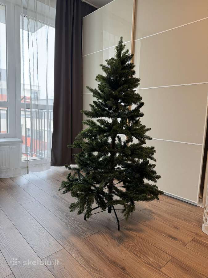 Kalėdinė eglutė 155 cm aukščio