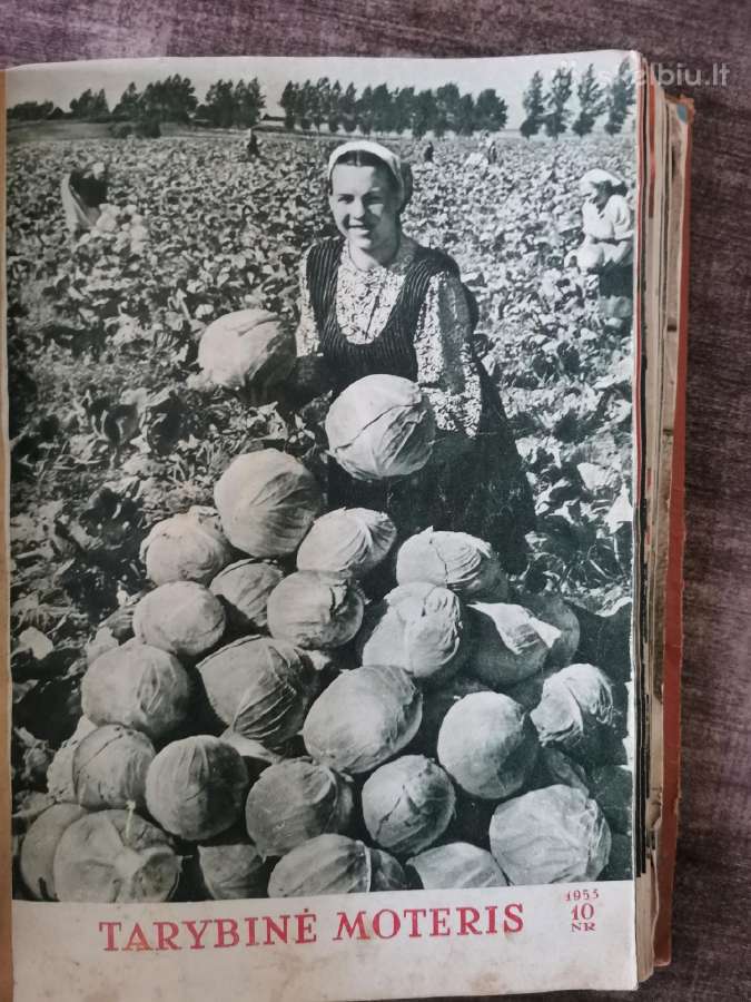 1953-1954m. Tarybinė Moteris žurnalai - nuotraukos Nr. 13