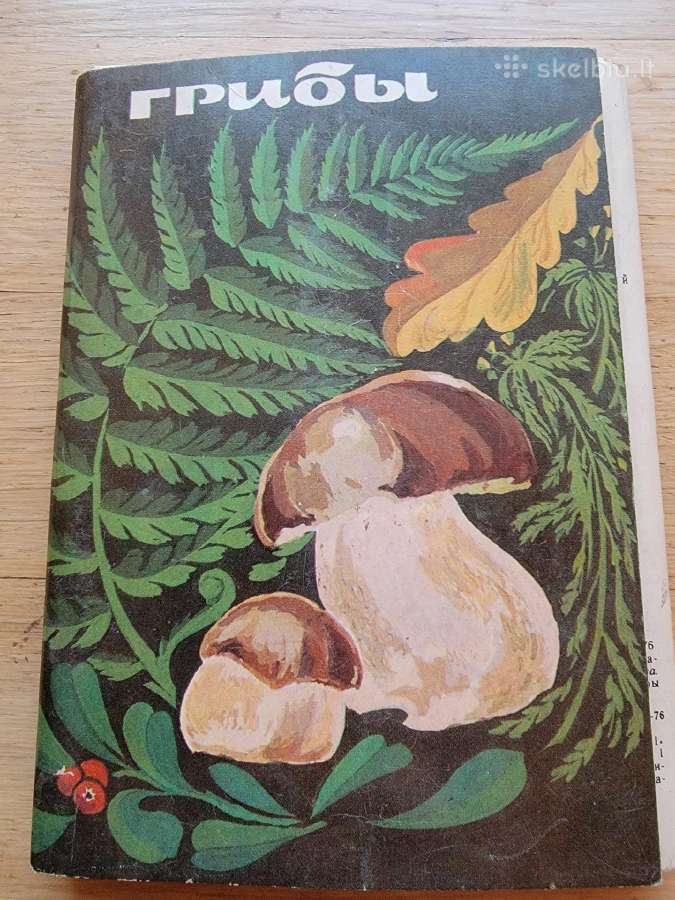 1976m.atvirukų komplektas :Grybai"