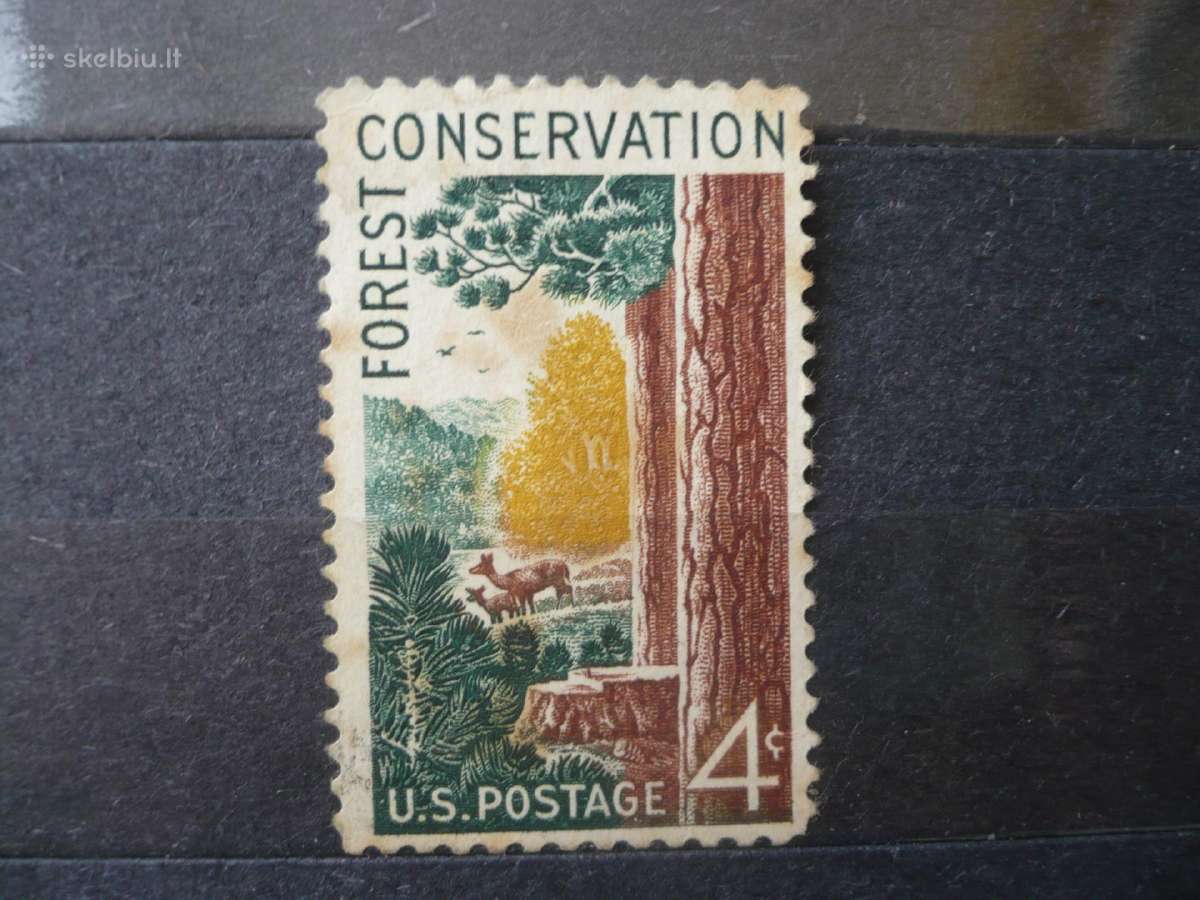 1958 m. apsauga