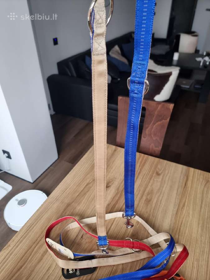 Nauji sunu vedziojimo pavadeliai, petnesos. - nuotraukos Nr. 10