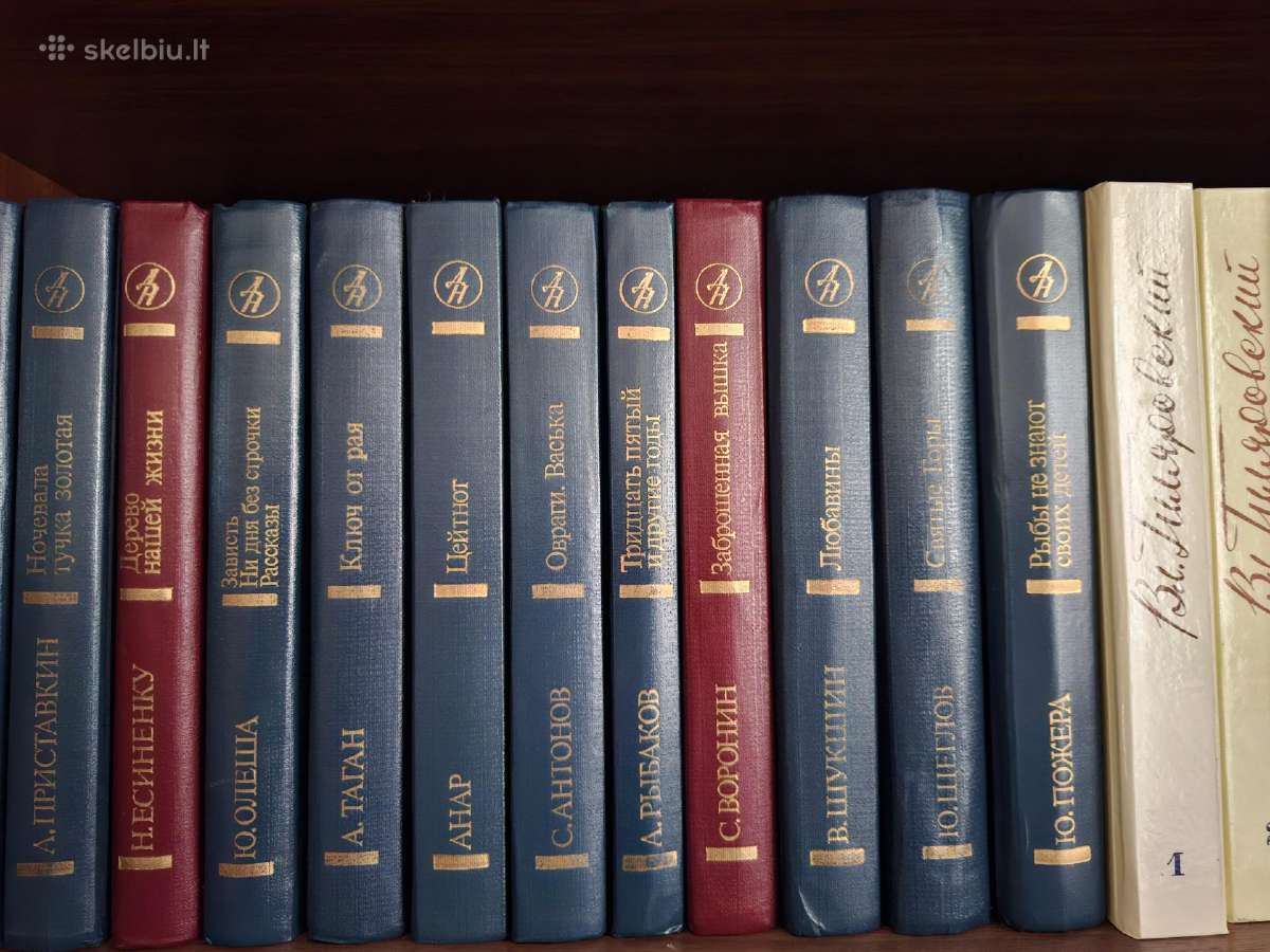 Knygos, naminė biblioteka žymiu autorių ir kūrinių - nuotraukos Nr. 5
