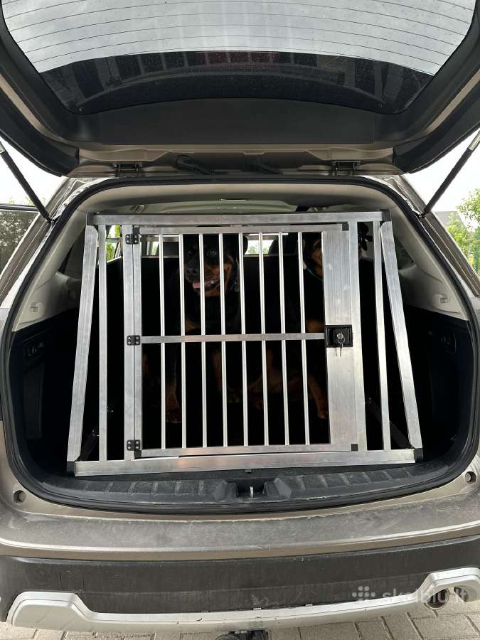Narvai augintiniams automobiliui