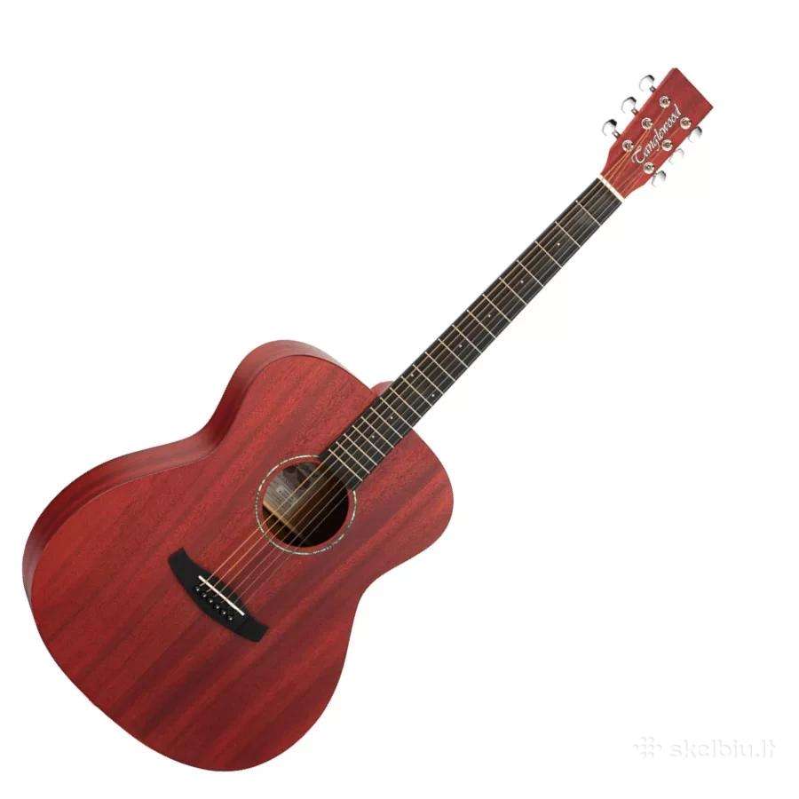 Gitara Tanglewood akustinė nauja