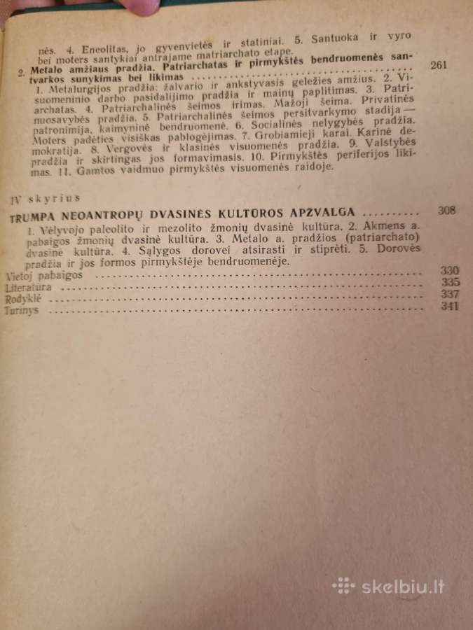 Žmogaus ir pirmykštės visuomenės kilmė bei raida - nuotraukos Nr. 6