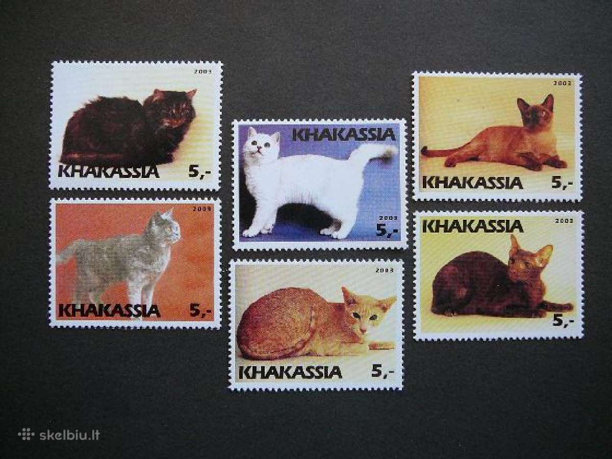 Kates Chakasija (R) 2003 svarus chk339