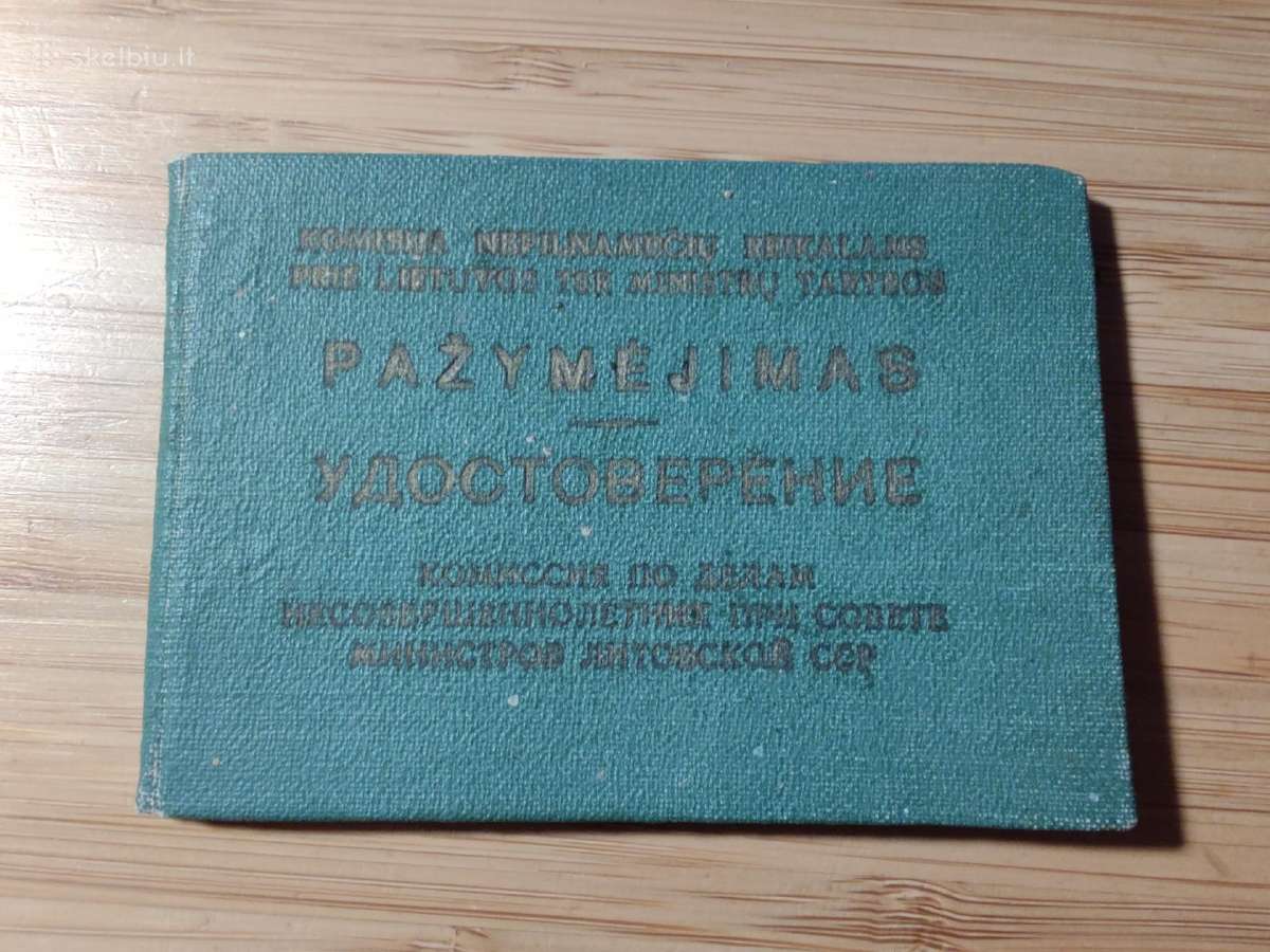 Komisija nepilnamečių reikalams