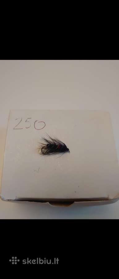 Muselės 40€ ~1500 vnt - nuotraukos Nr. 2