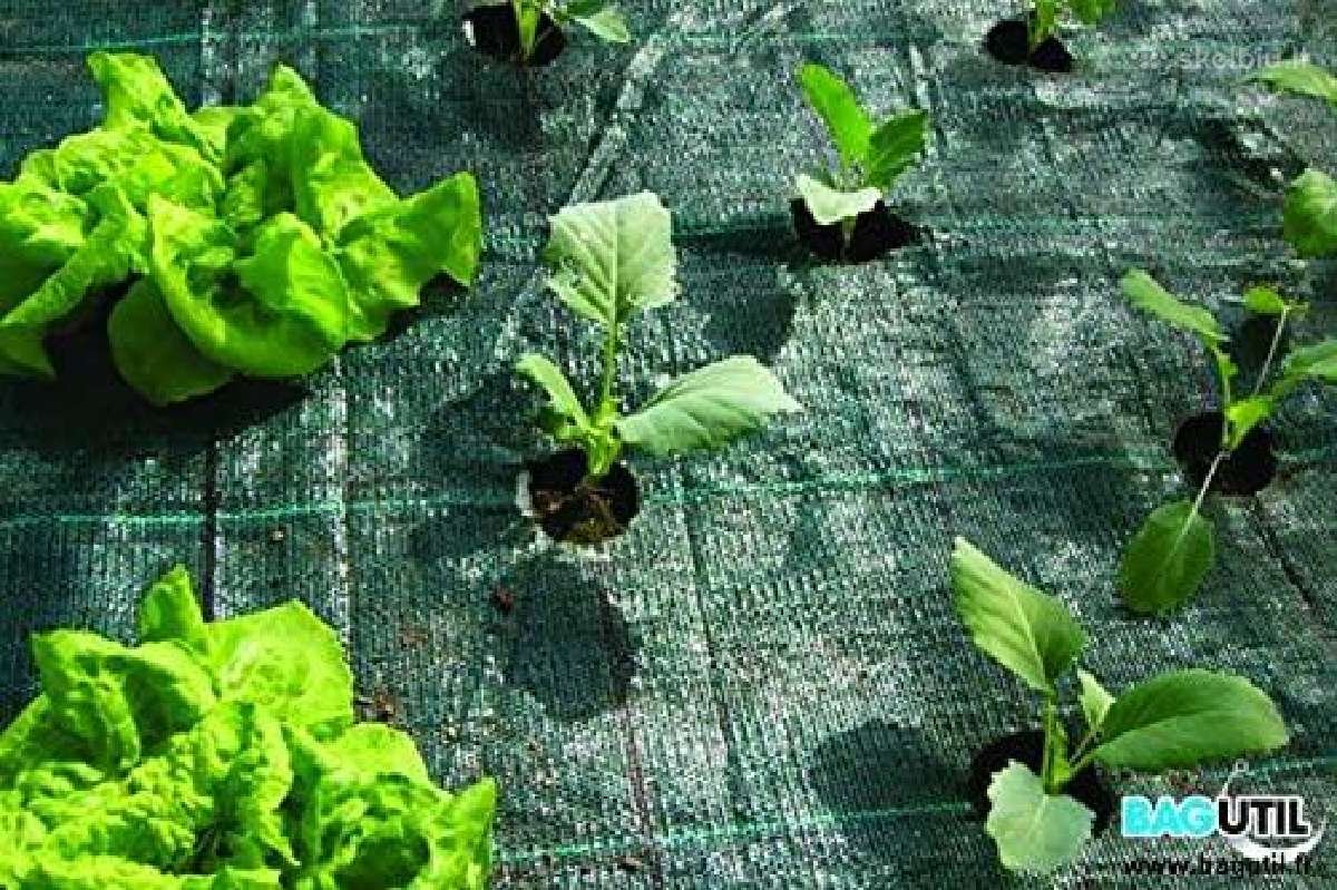 Agrotekstilė,juoda, žalia 0,4 iki 4,2 m. + Smaigai - nuotraukos Nr. 11