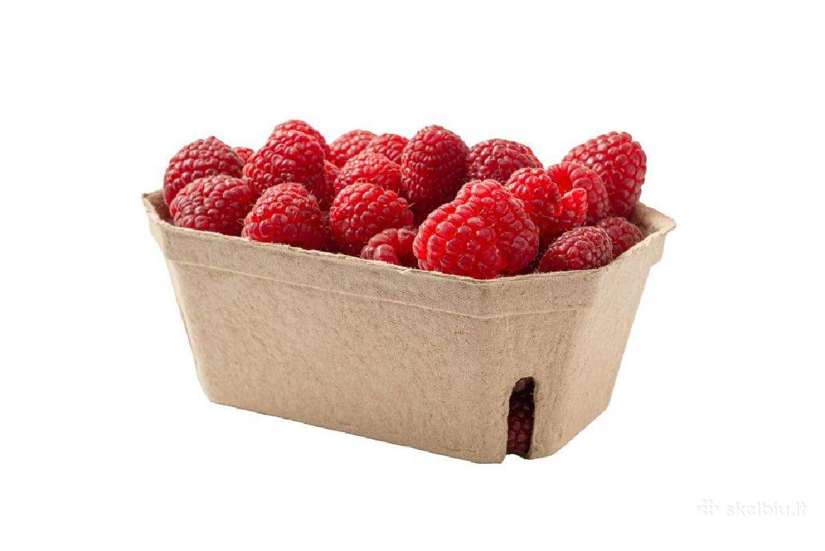 Tiekimo Vadybininkas Ežerėlyje (Kauno r.)