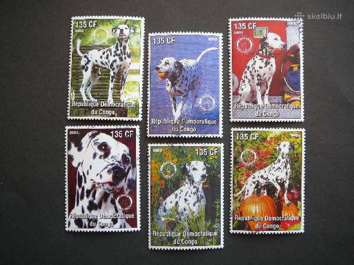 Sunys Kongas 2003 antsp. kng341