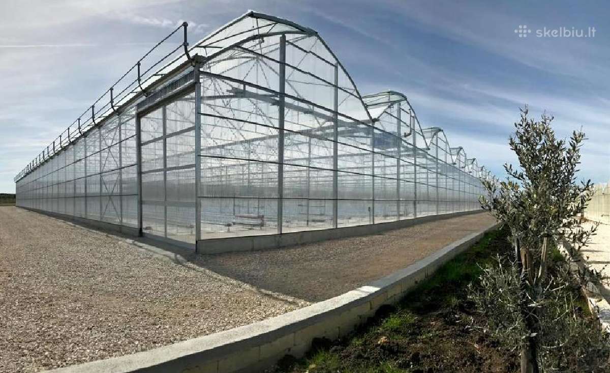 Europrogress – Itališki Pramoniniai Šiltnamiai - nuotraukos Nr. 2