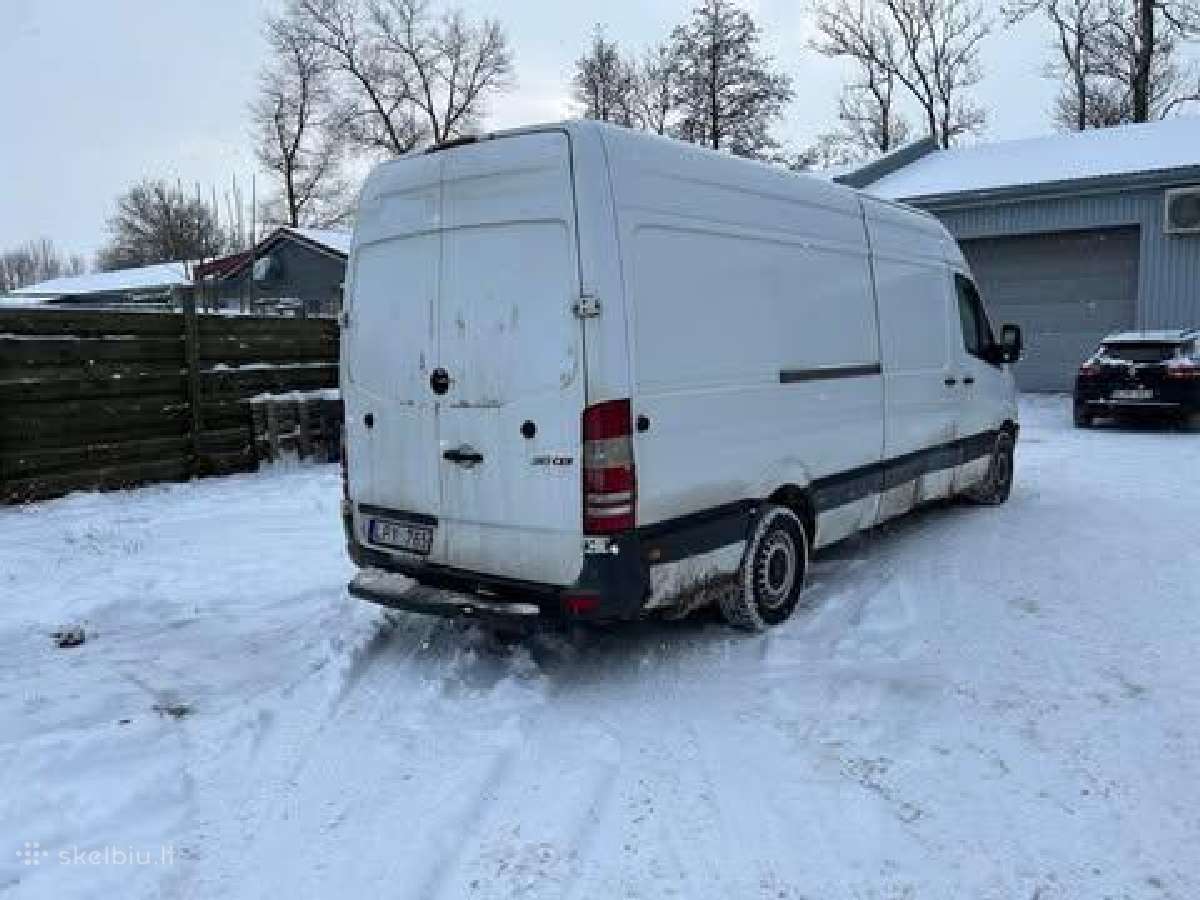Patikimas pervežimas už gerą kainą - nuotraukos Nr. 21