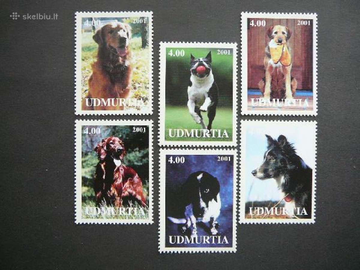 Sunys Udmurtija (R) 2001 svarus um11