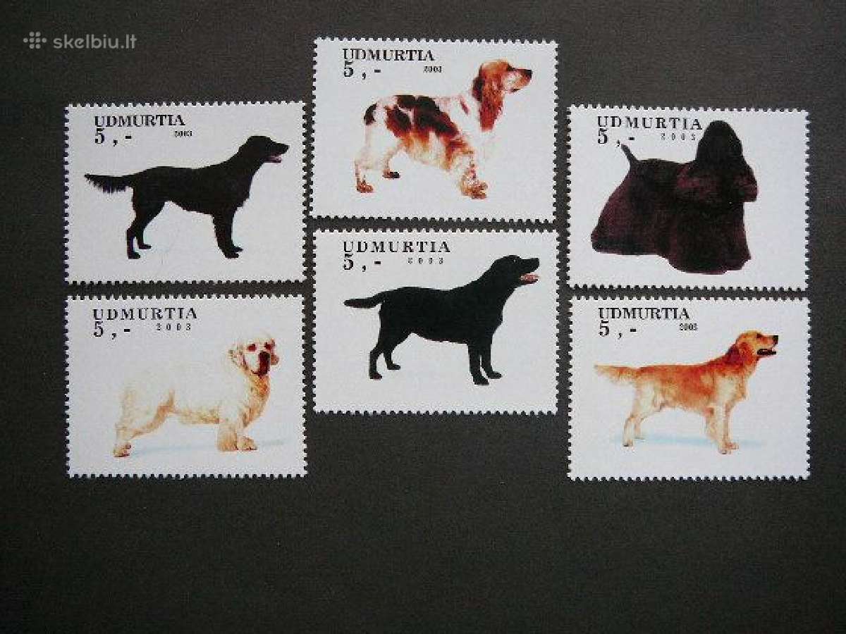 Sunys Udmurtija(r) 2003 svarus um15