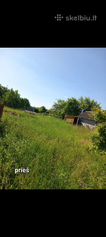 Malkų pjovimas, skaldymas, žolės pjovimas - nuotraukos Nr. 6