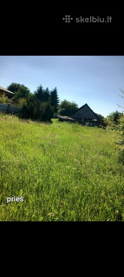 Malkų pjovimas, skaldymas, žolės pjovimas - nuotraukos Nr. 2