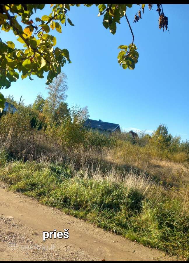 Malkų pjovimas, skaldymas, žolės pjovimas - nuotraukos Nr. 4
