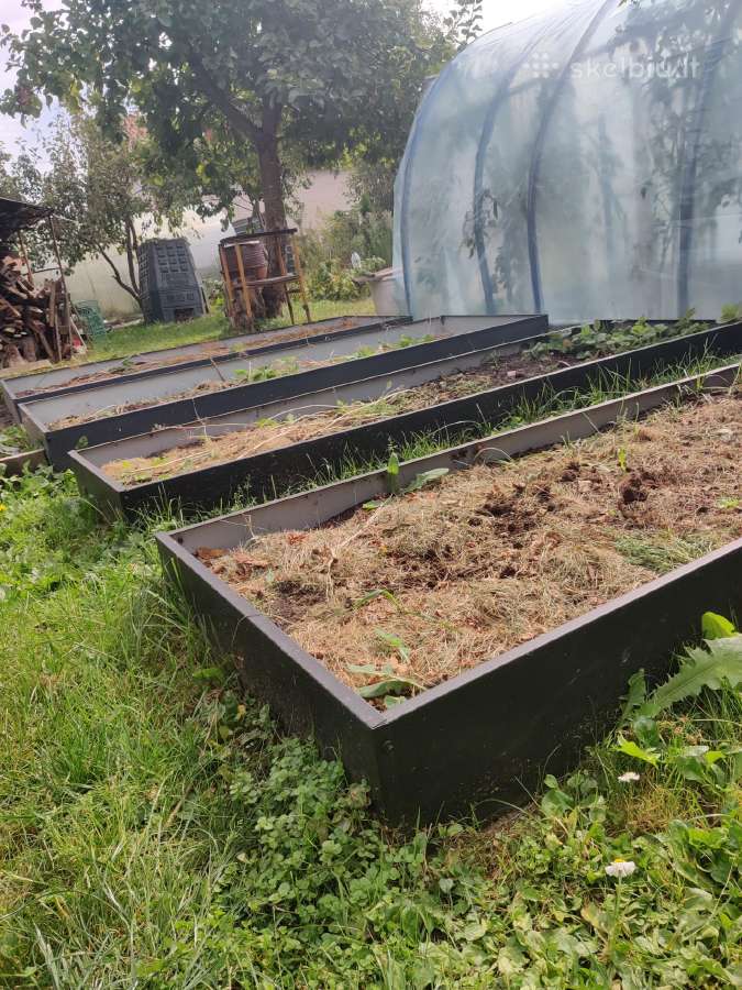 Pakeltos skardinės lysvės