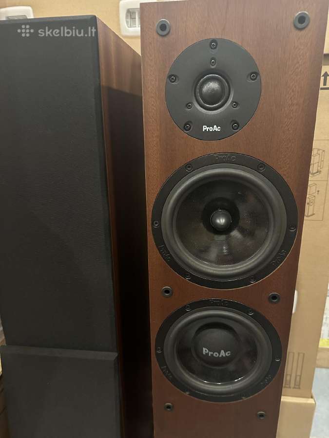 Proac D20r ribbon mapple koloneles - nuotraukos Nr. 23