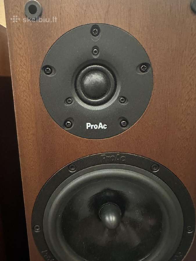 Proac D20r ribbon mapple koloneles - nuotraukos Nr. 24