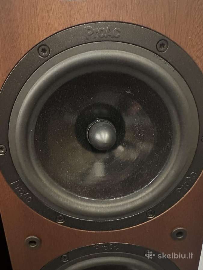 Proac D20r ribbon mapple koloneles - nuotraukos Nr. 25