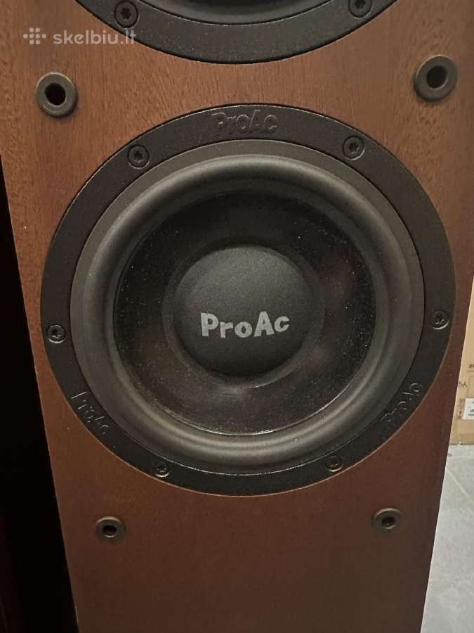 Proac D20r ribbon mapple koloneles - nuotraukos Nr. 26