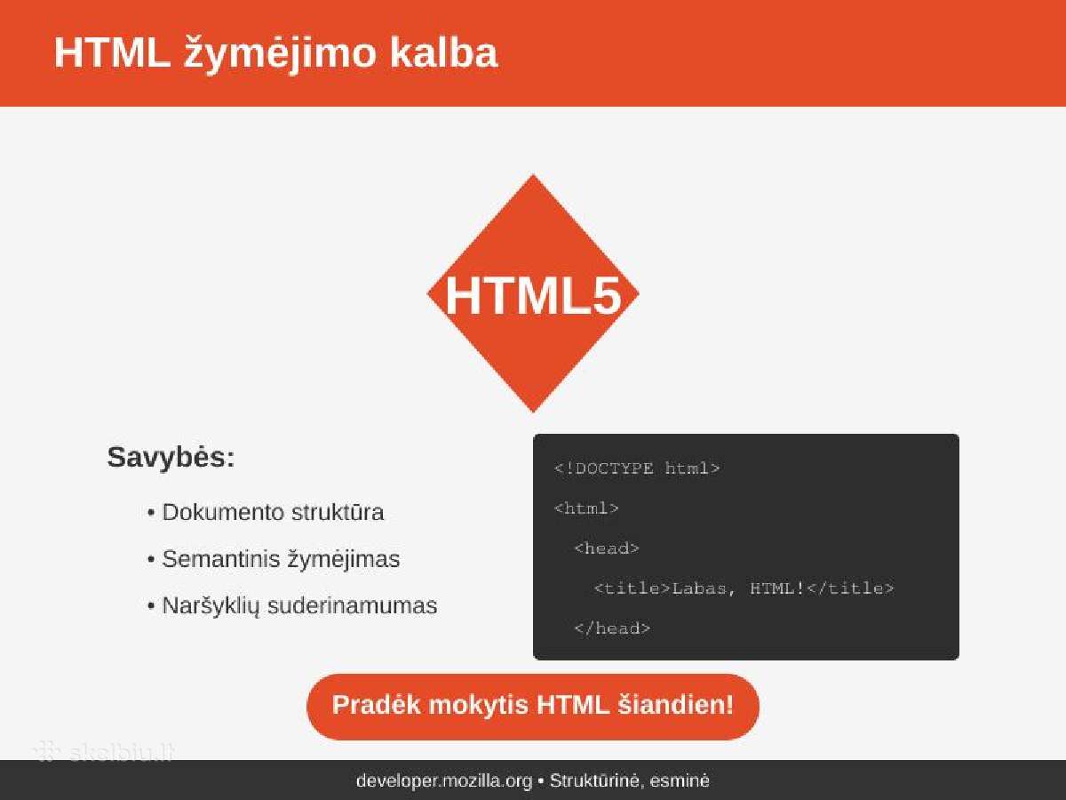 Programavimo ir informatikos korepetitorius - nuotraukos Nr. 3