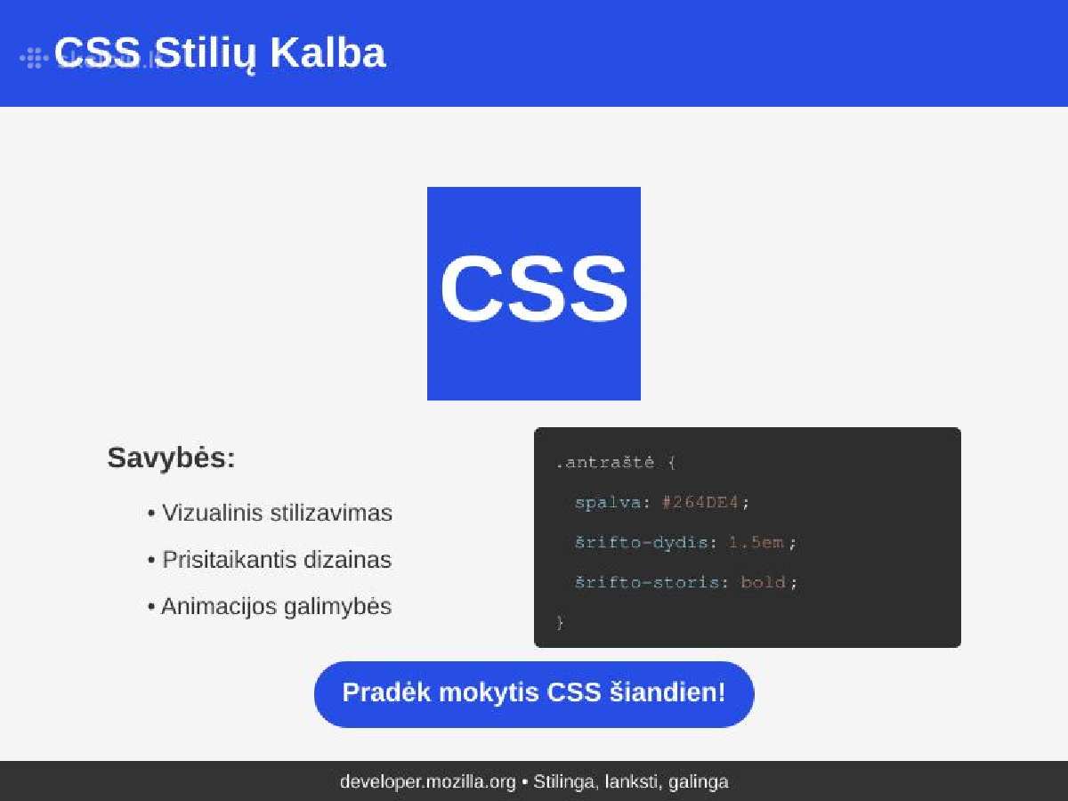 Programavimo ir informatikos korepetitorius - nuotraukos Nr. 4