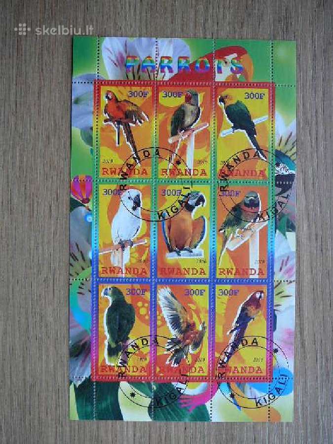 Papugos Pauksciai Ruanda 2010 antsp. s766