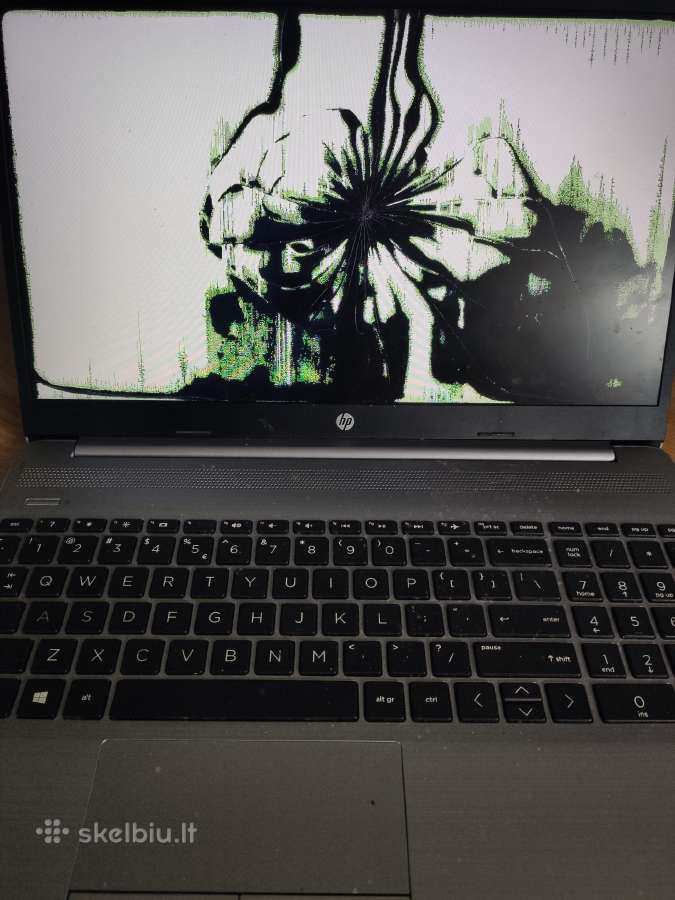 Hp 250 G8 ekranas