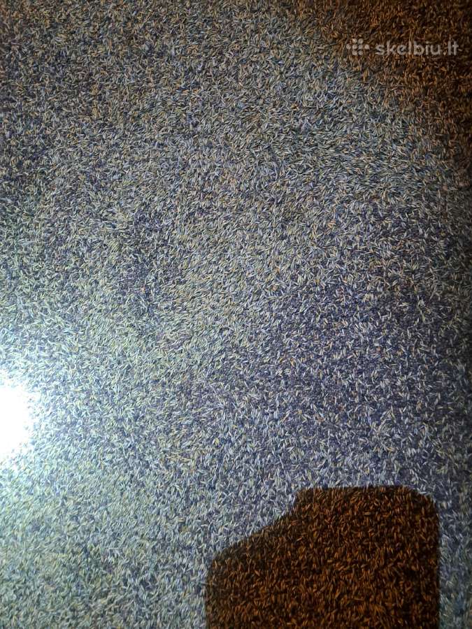 Parduodu avižų-vikių mišinį, kviečių apie toną. - nuotraukos Nr. 2