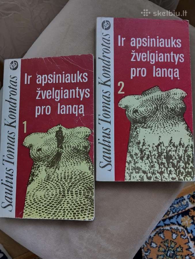 S Kondrotas-ir apsiniauks žvelgiantys pro langą