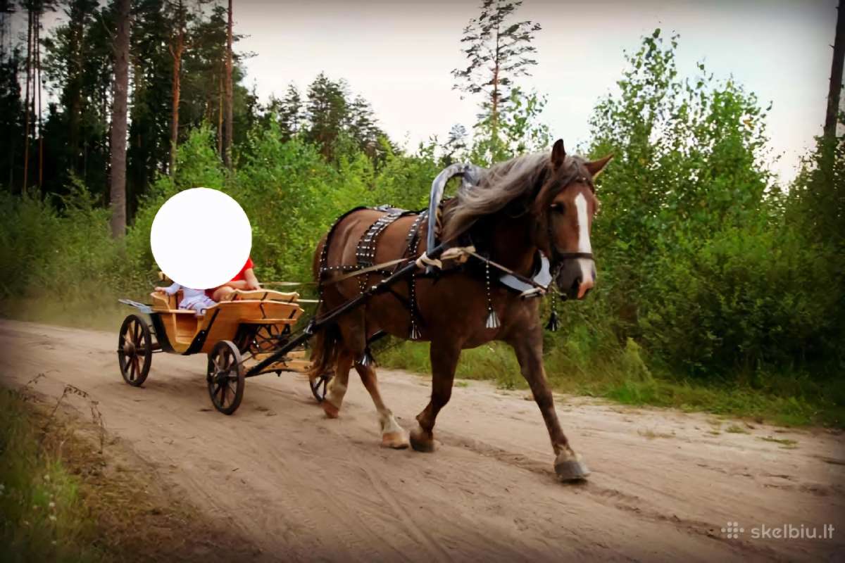 Parduodu linejka-brička - nuotraukos Nr. 3