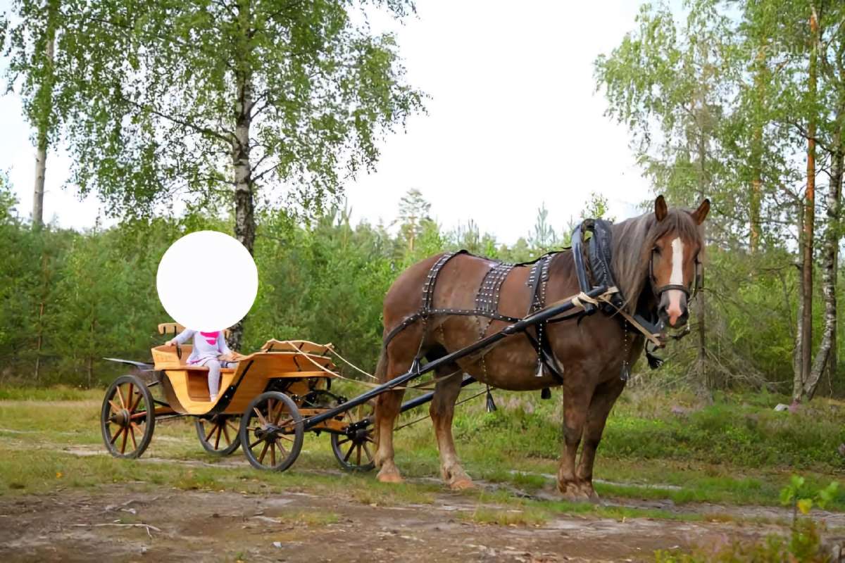 Parduodu linejka-brička - nuotraukos Nr. 5