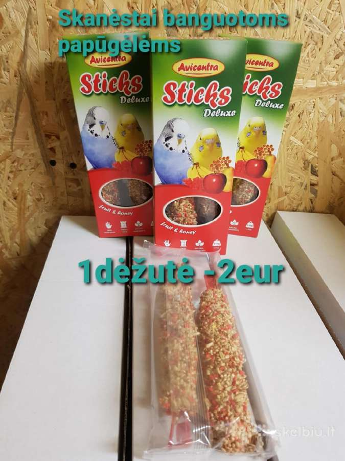 Banguotos papūgėlės 2mėn-7mėn - nuotraukos Nr. 4