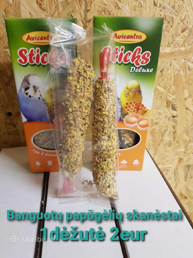 Banguotos papūgėlės 2mėn-7mėn - nuotraukos Nr. 12